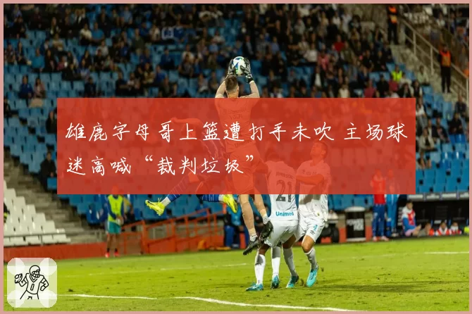 雄鹿字母哥上篮遭打手未吹 主场球迷高喊“裁判垃圾”