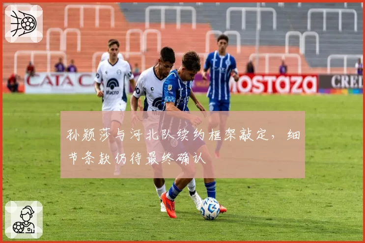 孙颖莎与河北队续约框架敲定，细节条款仍待最终确认