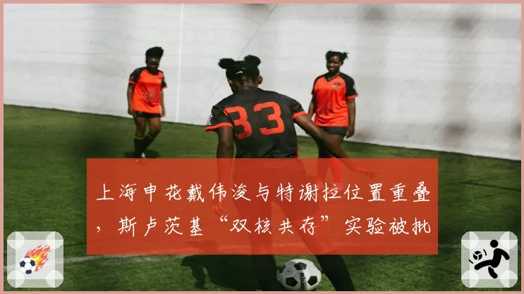 上海申花戴伟浚与特谢拉位置重叠，斯卢茨基“双核共存”实验被批牺牲防守