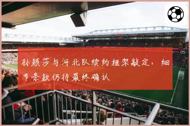 孙颖莎与河北队续约框架敲定，细节条款仍待最终确认