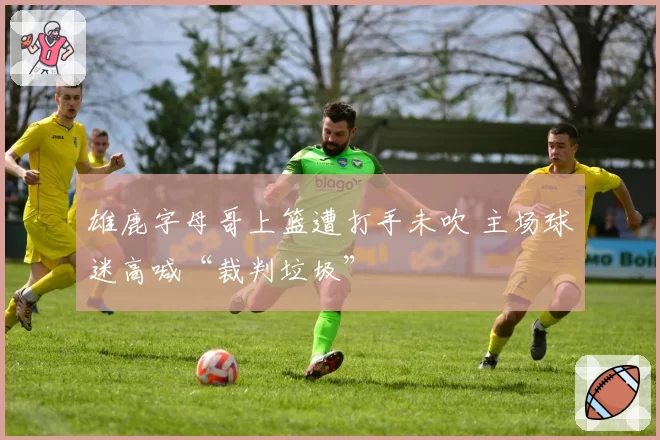 雄鹿字母哥上篮遭打手未吹 主场球迷高喊“裁判垃圾”