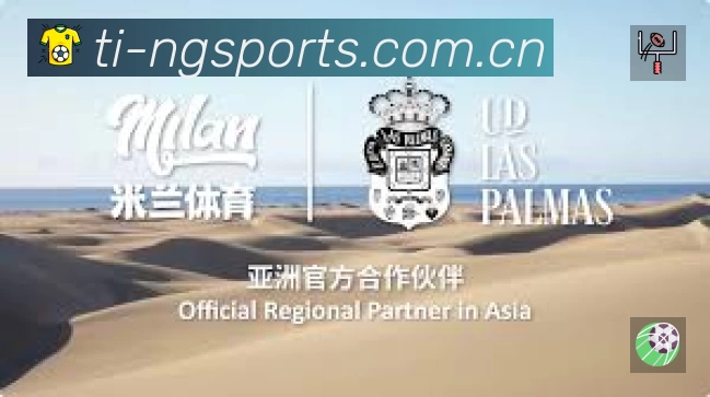 全球访问热力分布图