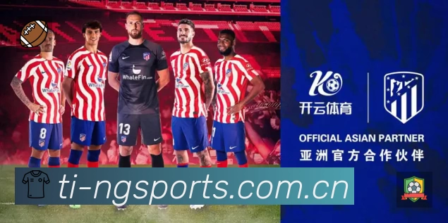 体育平台欢迎图